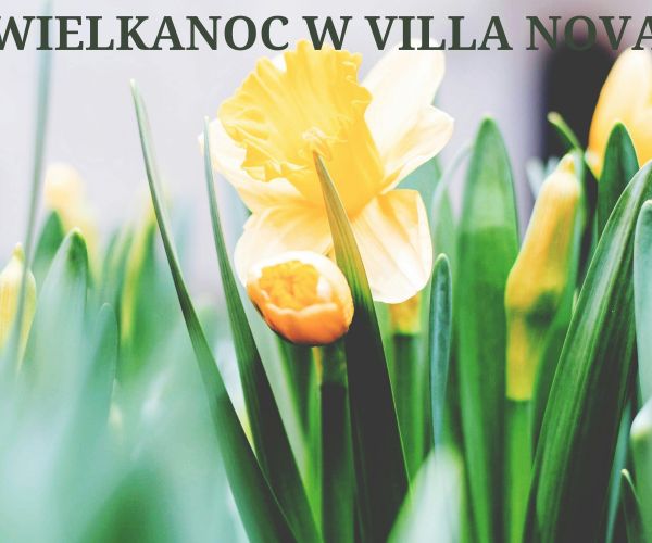 Wielkanoc w Villa Nova